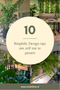 10 biophilic design tips